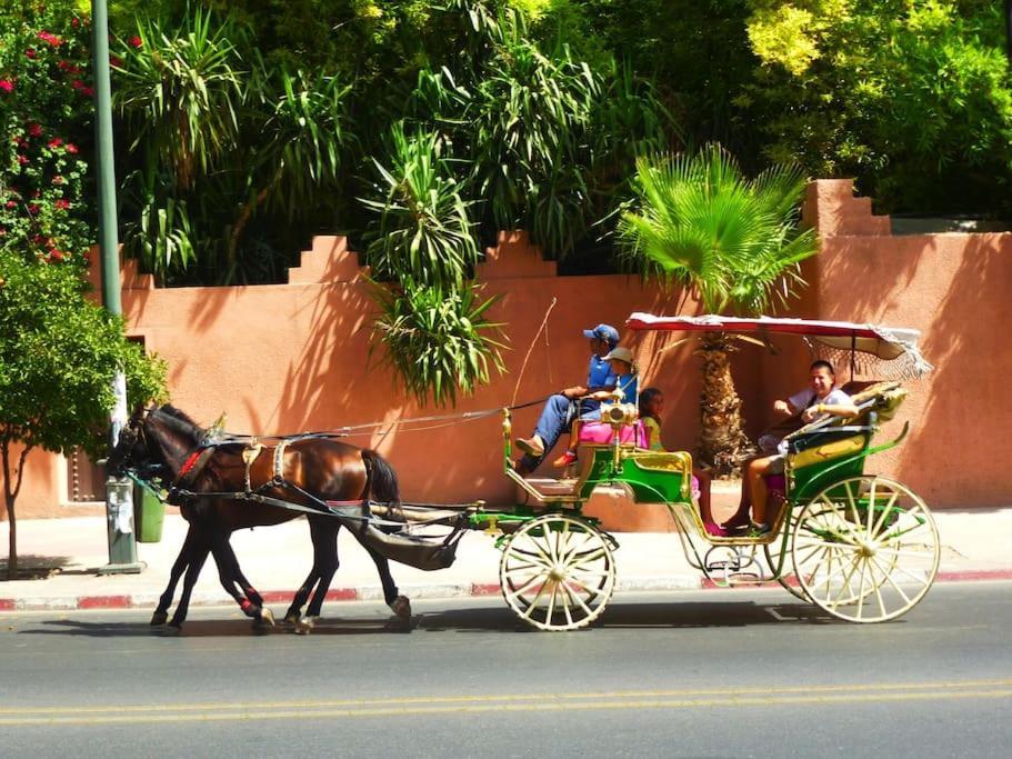 Luxury Refuge - Marrakech Centre Appartamento *